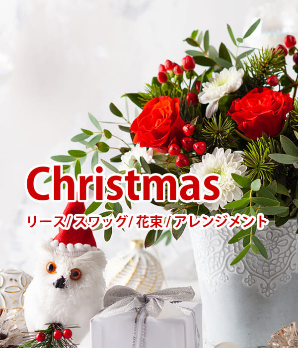 クリスマストップイメージ